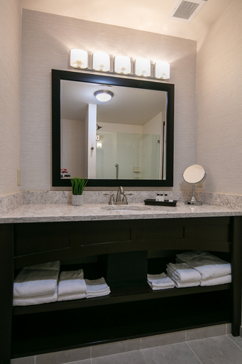 Bathroom 4, Bicycle Street Inn, Mackinac