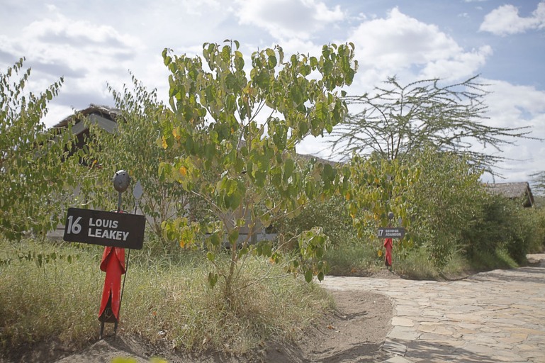 Others 5, Tipilikwani Mara Camp, Narok West