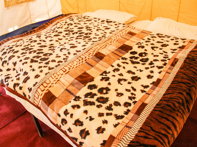 Bedroom 2, Monalisa Camp, Leh