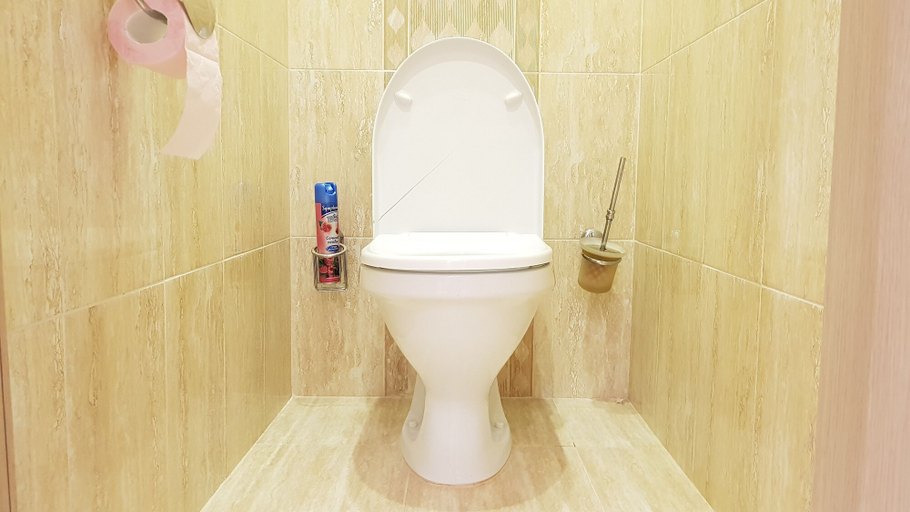 Bathroom 3, DeLuxe Apartment Garibaldi, Western
