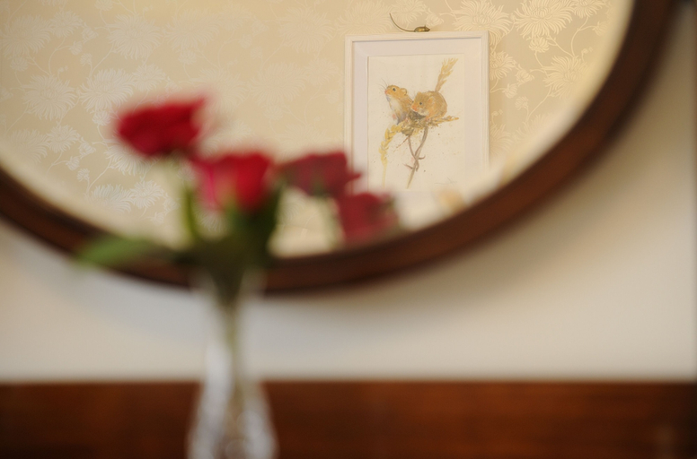 Food & Drinks 5, Sheriff Lodge, Derbyshire