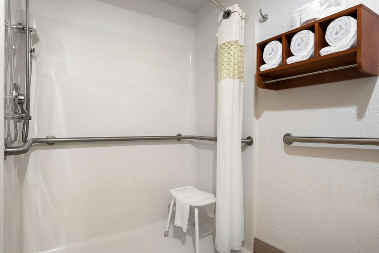 Bathroom 3, Hampton Inn Ft. Chiswell-Max Meadows, Wythe