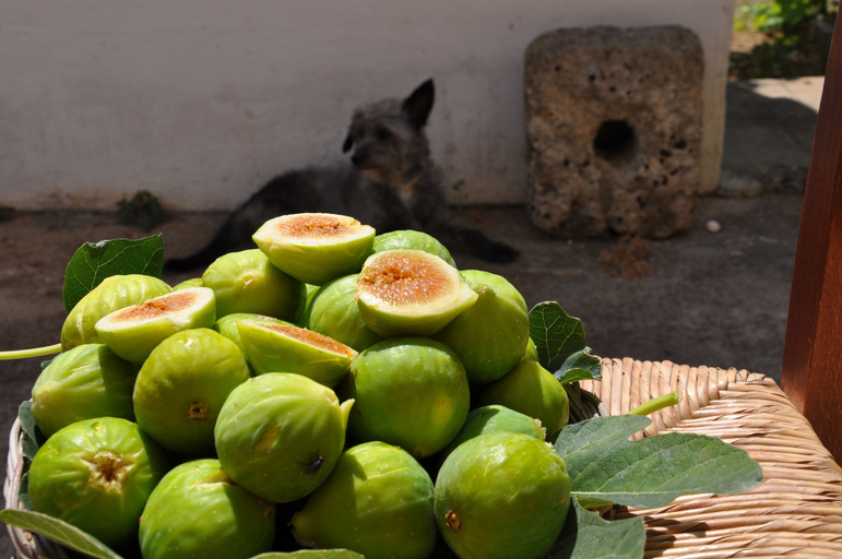 Food & Drinks 5, Masseria Uccio, Lecce