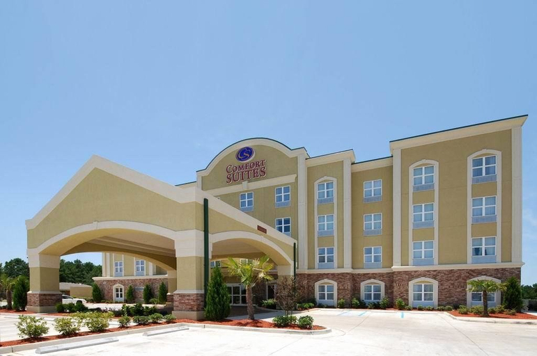 Exterior & Views 2, Comfort Suites Vicksburg, Warren
