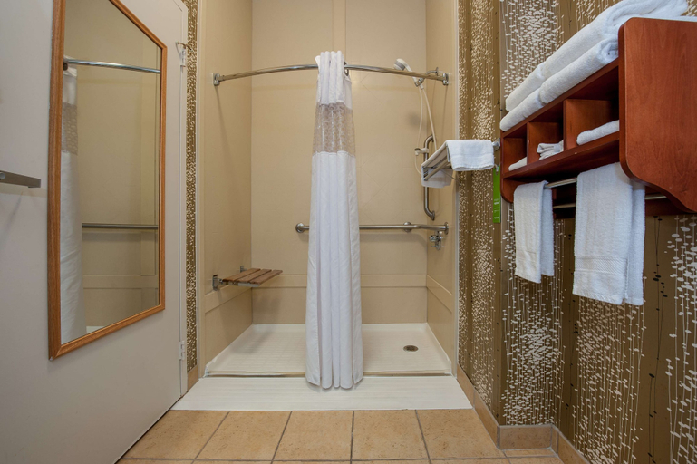 Bathroom 4, Hampton Inn by Hilton Bowling Green, Warren