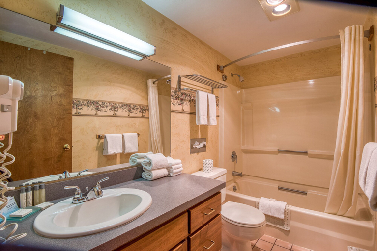 Bathroom 3, Purity Spring Resort, Carroll