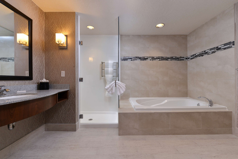 Bathroom 5, Hilton Garden Inn Hobbs, Lea
