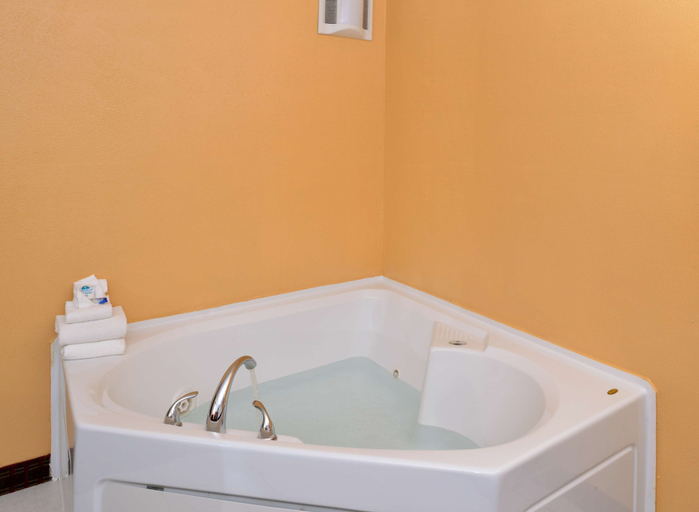 Bathroom 4, Americas Best Value Inn Geneva, Ontario
