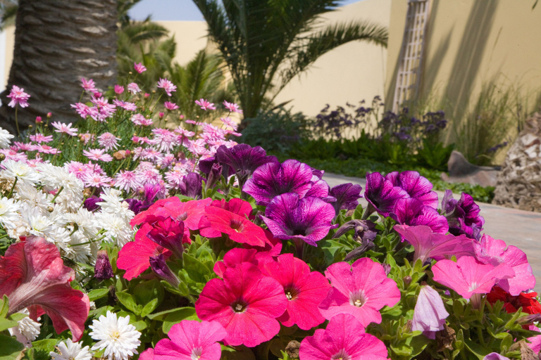 Others 5, Cornerstone Guesthouse, Swakopmund