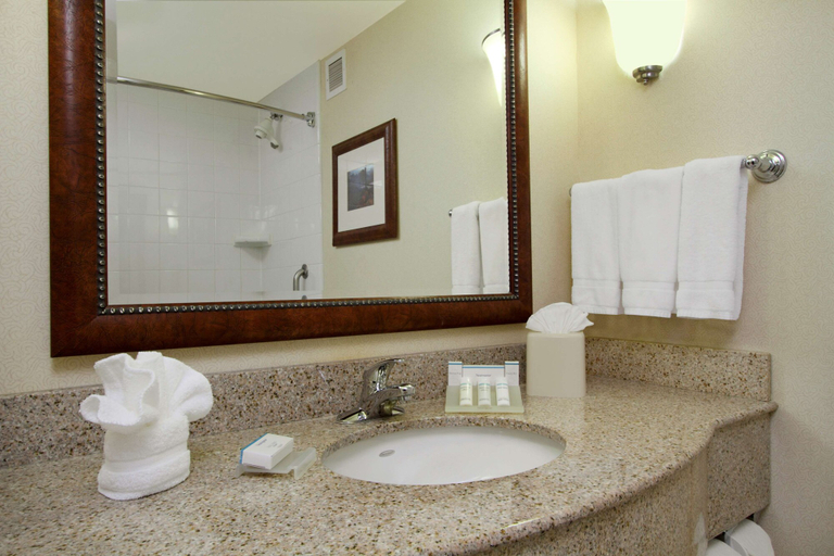Bathroom 4, Hilton Garden Inn Columbus-University Area, Franklin