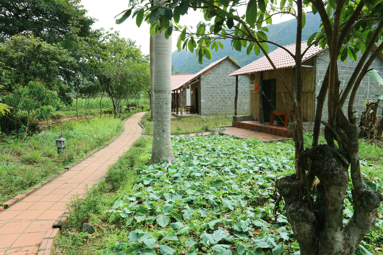 Others 5, Long Phuong Homestay, Cát Hải