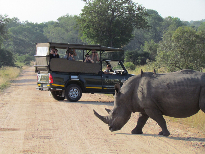 Others 5, Nkambeni Safari Camp, Ehlanzeni