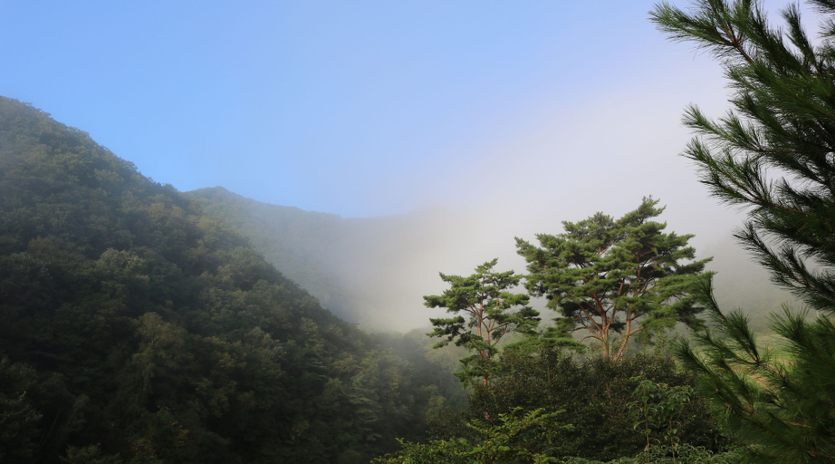 Others 5, Bandibyeol Pension, Hongcheon