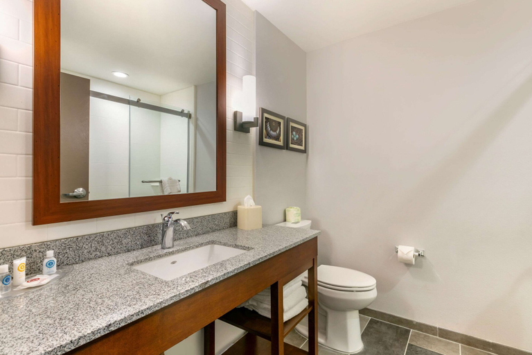 Bathroom 3, Comfort Suites North Tupelo, Lee