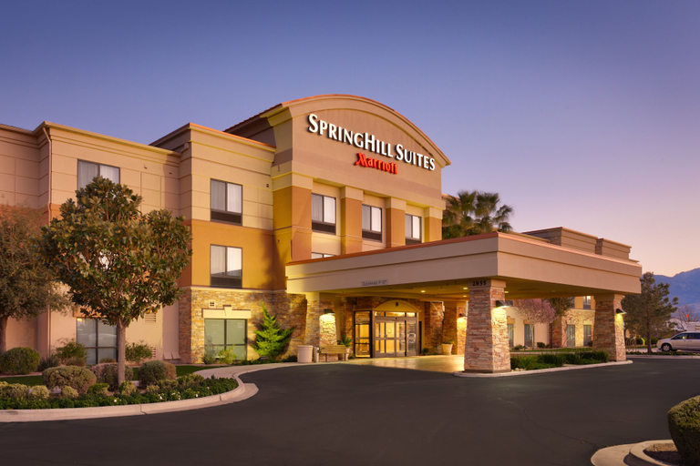 Exterior & Views 2, Springhill Suites by Marriott Thatcher, Graham