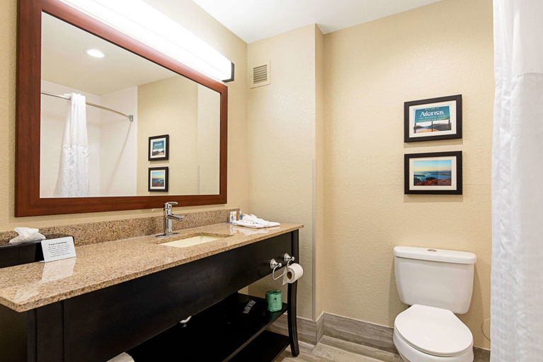 Bathroom 4, Comfort Inn & Suites Pine Bluff, Jefferson