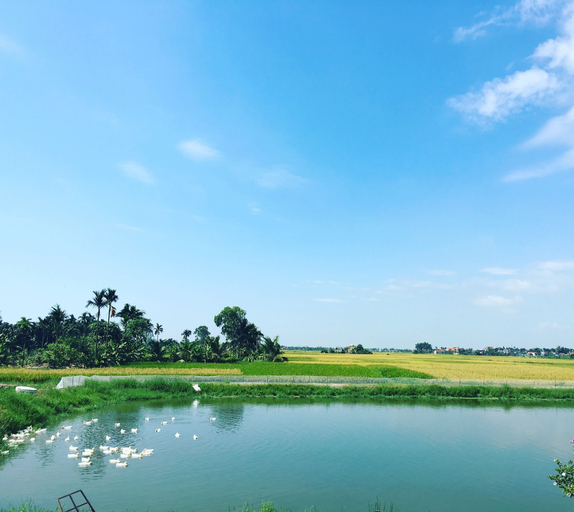 Others 3, Lotus House, Kiến Thụy