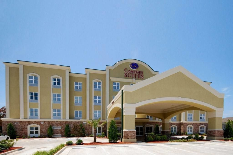 Exterior & Views 2, Comfort Suites Vicksburg, Warren