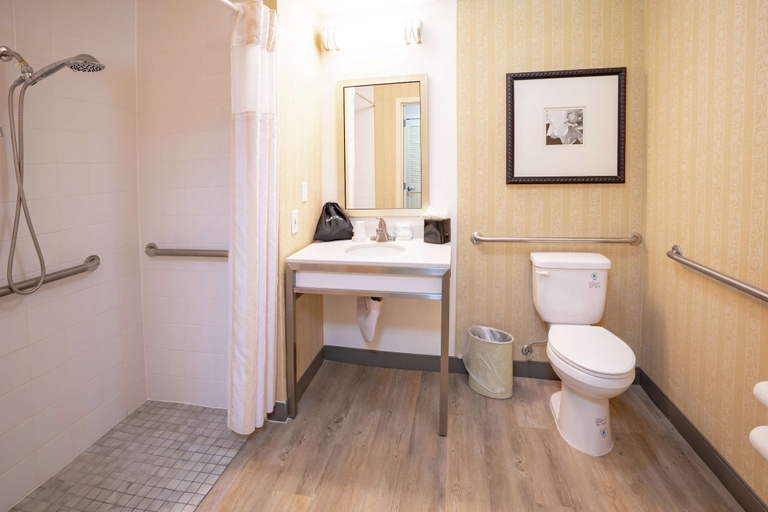 Bathroom 4, Hilton Garden Inn Seattle/Renton, King