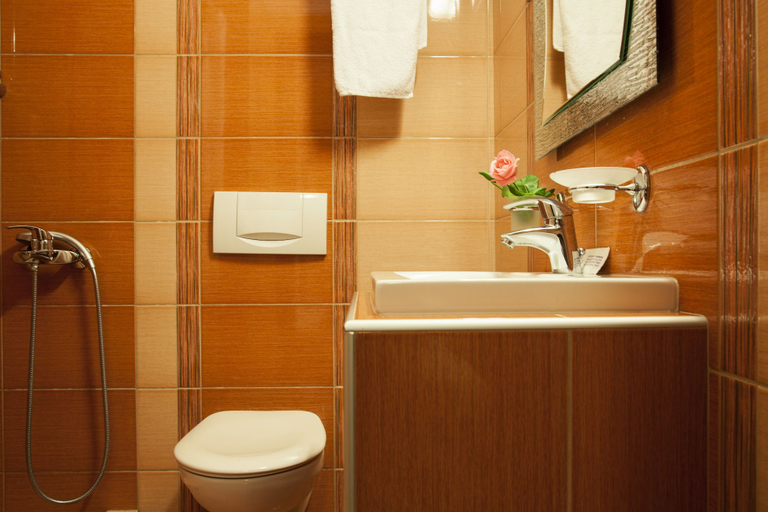Bathroom 5, Meteoritis Hotel, Thessaly