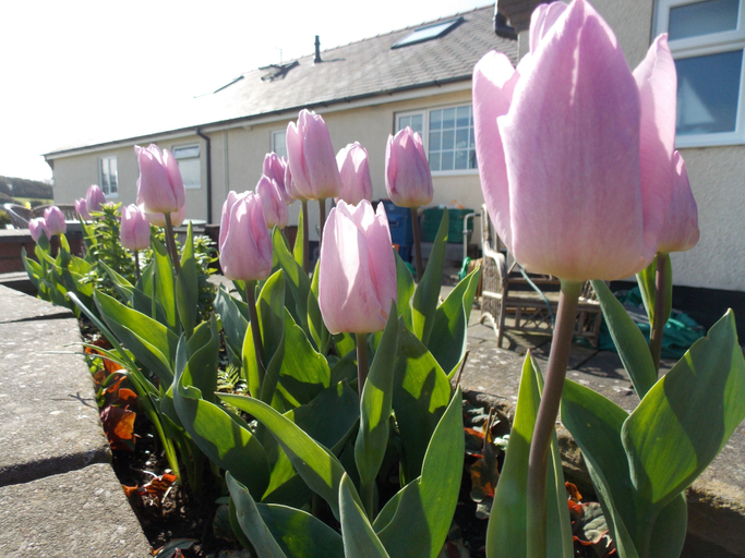 Exterior & Views 2, Craig Eithin B & B Holyhead, Anglesey