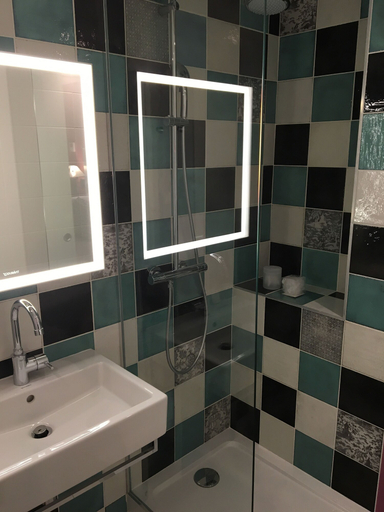 Bathroom 4, Les Tournelles, Paris
