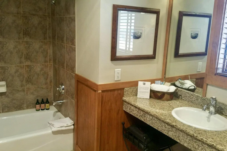 Bathroom 5, The Hotel Telluride, San Miguel