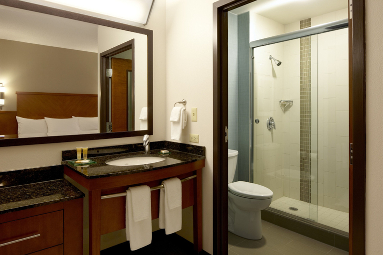 Bathroom 4, Hyatt Place Fort Worth Cityview, Fort Worth