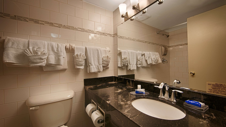 Bathroom 4, Best Western Brantford Hotel & Conference Centre, Brant
