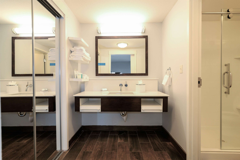 Bathroom 4, Hampton Inn Brighton, Livingston