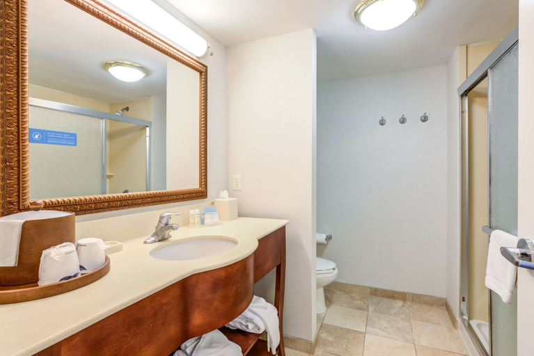 Bathroom 4, Hampton Inn & Suites Westford-Chelmsford, Middlesex