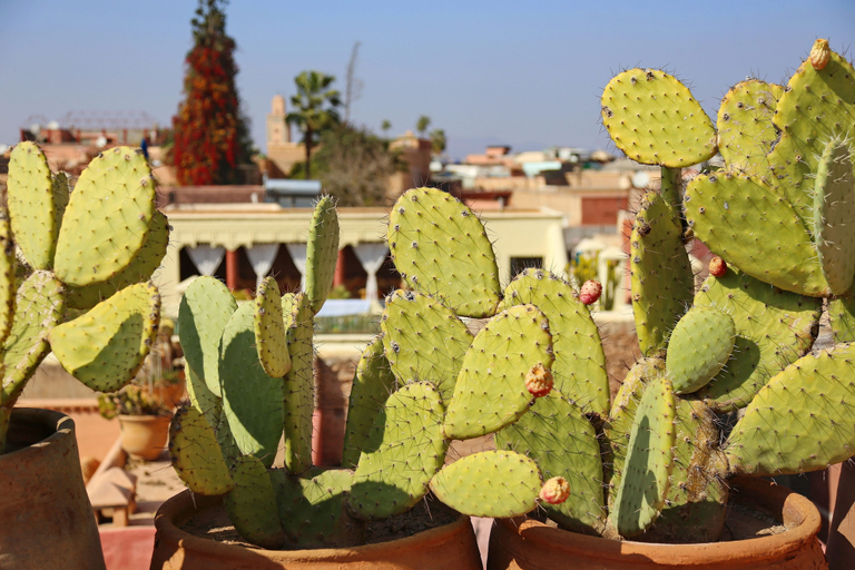 Exterior & Views 2, Riad Marrakiss, Marrakech
