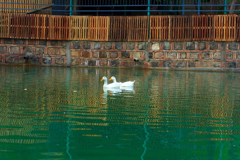 Exterior & Views 2, Amiran`s Lake, Tbilisi