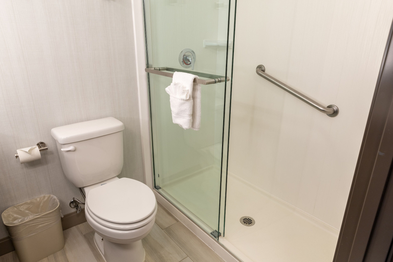 Bathroom 4, Hilton Garden Inn Des Moines West, Dallas