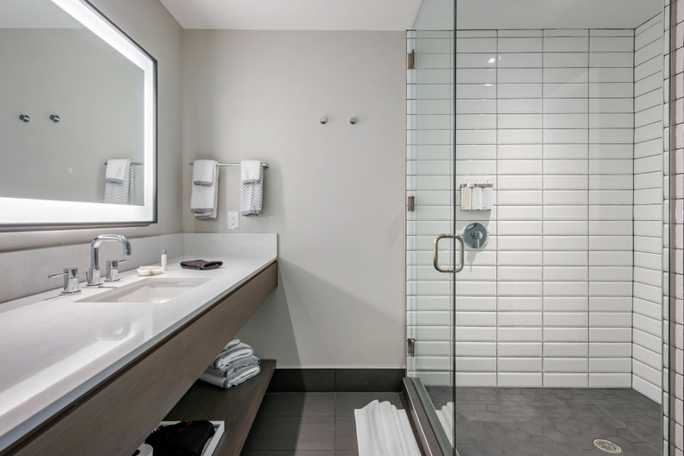 Bathroom 5, Cambria Hotel Houston Downtown Convention Center, Houston