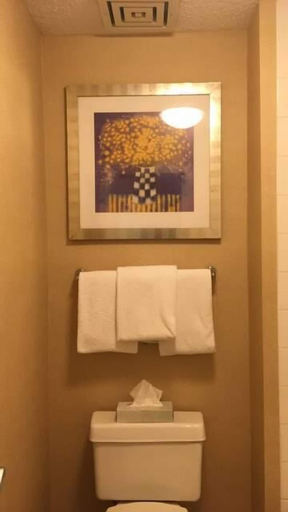 Bathroom 4, Clarion Inn, Lake