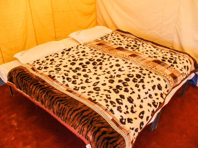 Bedroom 3, Monalisa Camp, Leh