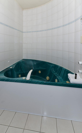 Bathroom 4, Geneva Motor Lodge, Rotorua
