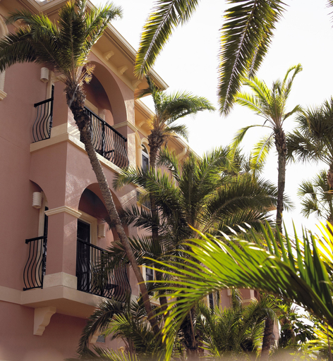 Exterior & Views 2, Tahitian Inn, Hillsborough