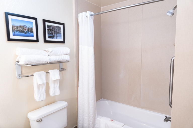 Bathroom 5, Comfort Suites Vicksburg, Warren