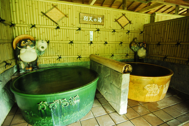 Bathroom 3, Hotel Kazurabashi, Miyoshi