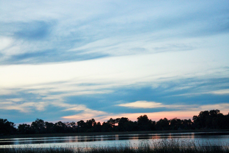 Others 5, Hippo Island Okavango Delta, Ngamiland East