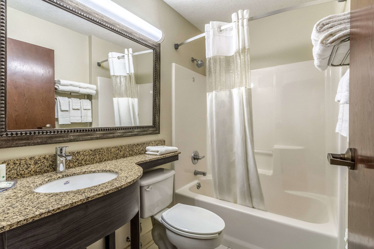Bathroom 4, Quality Inn & Suites North Lima - Boardman, Mahoning