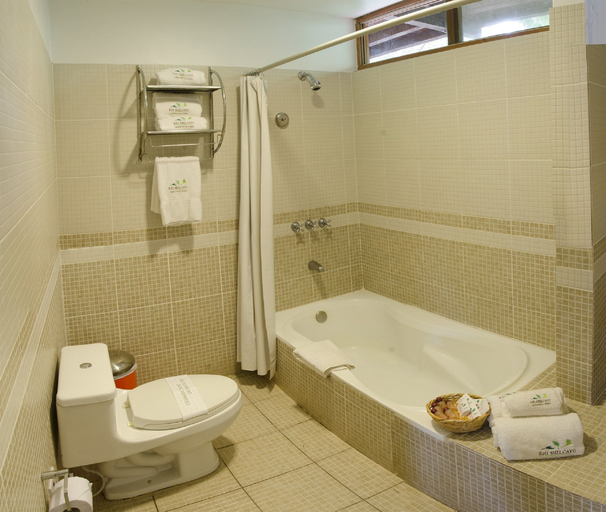 Bathroom 4, DM Hoteles Tarapoto, San Martín