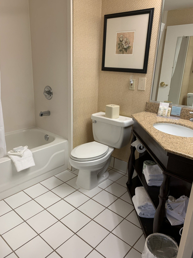 Bathroom 3, Comfort Inn & Suites Mt. Holly - Westampton, Burlington