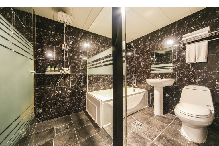 Bathroom 4, Elysee Hotel, Jung