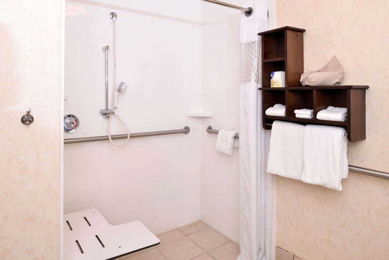 Bathroom 4, Hampton Inn & Suites Pueblo-Southgate, Pueblo
