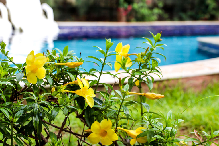 Sport & Beauty 4, Imperial Palace Hotel, Juazeiro do Norte