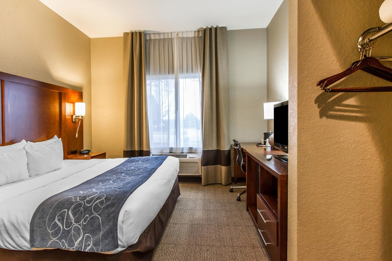 Bedroom 3, Comfort Suites Mattoon East, Coles