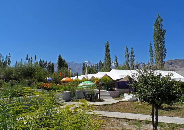 Tiger Camp, Leh (Ladakh)